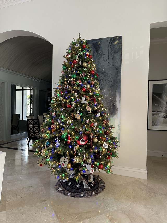 A traditional tree in mixed colors in a bright entry hall
